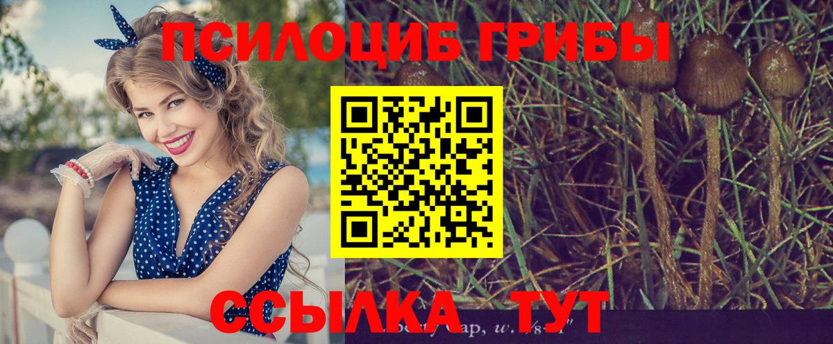 Галлюциногенные грибы Magic Shrooms  Вход с VPN  Борисоглебск 